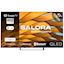 Salora 43QFG6500